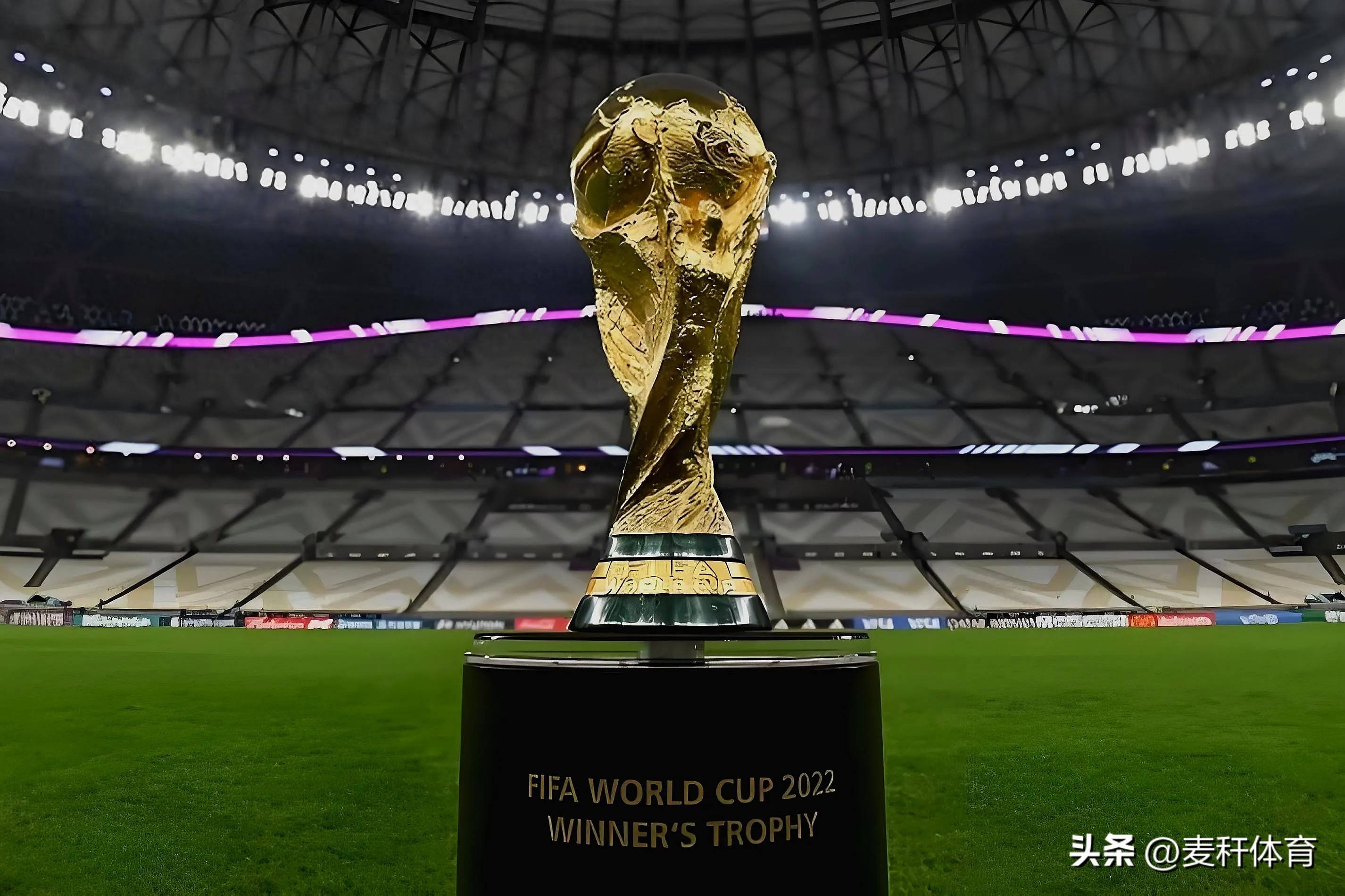 往往会对选 往往会对选