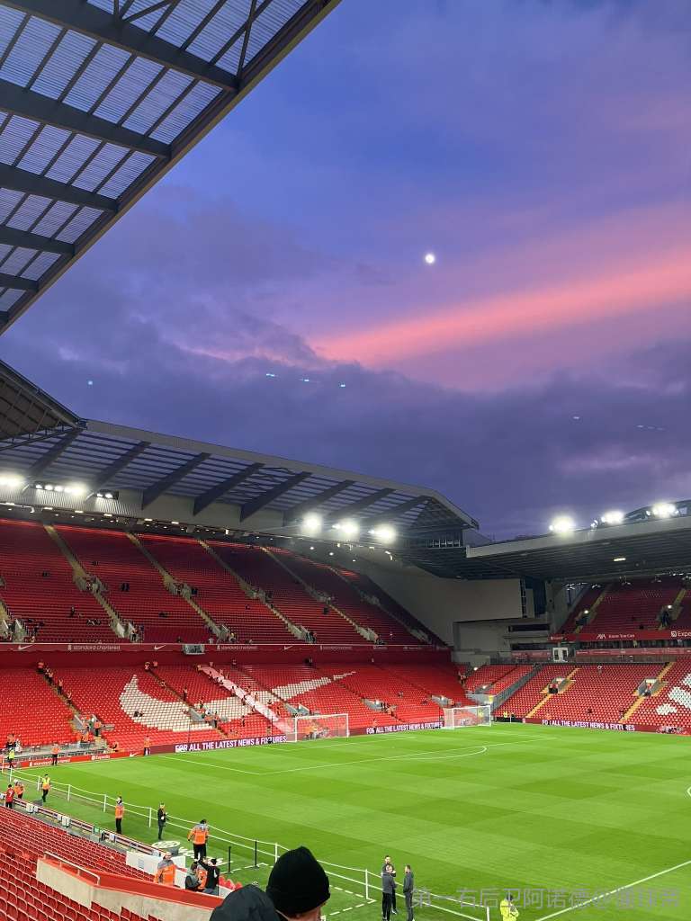 一擲確立兩 一擲確立兩